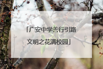 广安中学善行引路 文明之花满校园