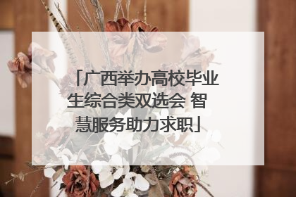 广西举办高校毕业生综合类双选会 智慧服务助力求职