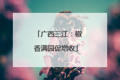 广西三江：椒香满园促增收