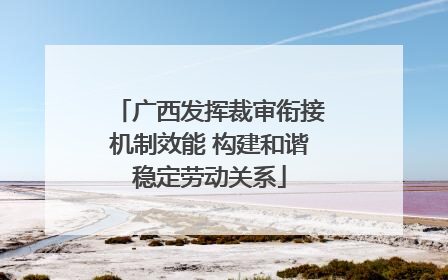 广西发挥裁审衔接机制效能 构建和谐稳定劳动关系