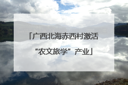 广西北海赤西村激活“农文旅学”产业