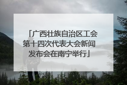 广西壮族自治区工会第十四次代表大会新闻发布会在南宁举行