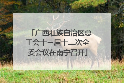 广西壮族自治区总工会十三届十二次全委会议在南宁召开