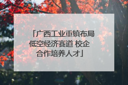 广西工业重镇布局低空经济赛道 校企合作培养人才