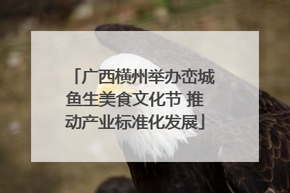广西横州举办峦城鱼生美食文化节 推动产业标准化发展