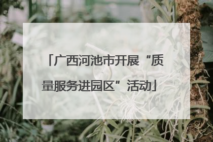 广西河池市开展“质量服务进园区”活动