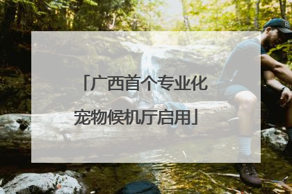 广西首个专业化宠物候机厅启用