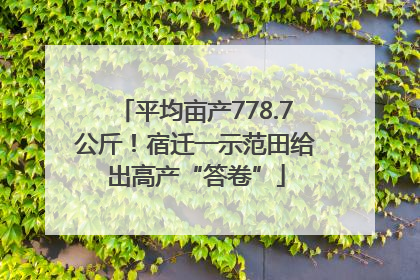 平均亩产778.7公斤！宿迁一示范田给出高产“答卷”