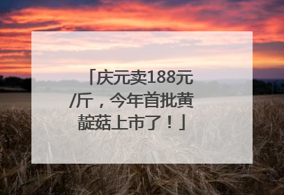 庆元卖188元/斤，今年首批黄靛菇上市了！
