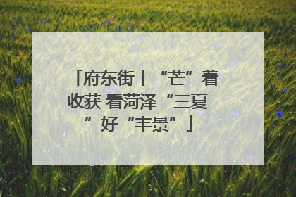 府东街丨“芒”着收获 看菏泽“三夏”好“丰景”