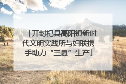 开封杞县高阳镇新时代文明实践所与妇联携手助力“三夏”生产
