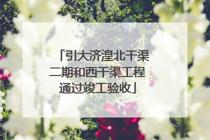 引大济湟北干渠二期和西干渠工程通过竣工验收