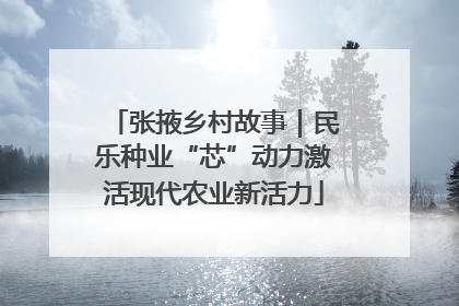 张掖乡村故事｜民乐种业“芯”动力激活现代农业新活力