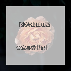 张涛出任江西分宜县委书记