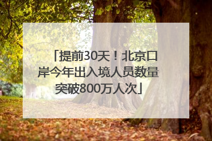 提前30天！北京口岸今年出入境人员数量突破800万人次