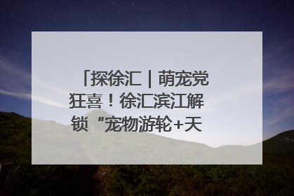 探徐汇｜萌宠党狂喜！徐汇滨江解锁“宠物游轮+天台乐园”双玩法