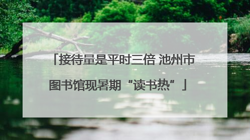 接待量是平时三倍 池州市图书馆现暑期“读书热”