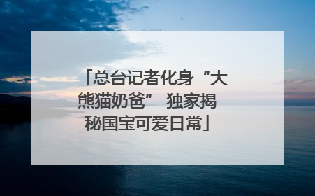 总台记者化身“大熊猫奶爸” 独家揭秘国宝可爱日常