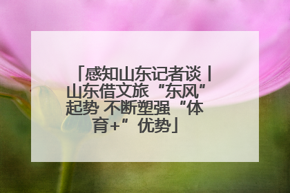 感知山东记者谈丨山东借文旅“东风”起势 不断塑强“体育+”优势