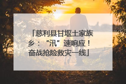 慈利县甘堰土家族乡：“汛”速响应！奋战抢险救灾一线