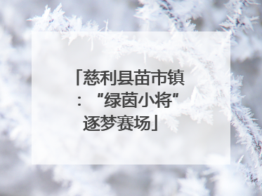 慈利县苗市镇：“绿茵小将”逐梦赛场