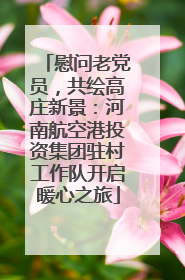 慰问老党员，共绘高庄新景：河南航空港投资集团驻村工作队开启暖心之旅