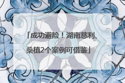 成功避险！湖南慈利、桑植2个案例可借鉴