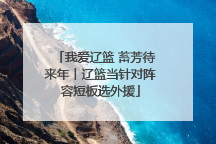 我爱辽篮 蓄芳待来年丨辽篮当针对阵容短板选外援