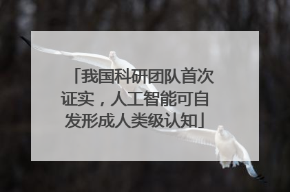 我国科研团队首次证实，人工智能可自发形成人类级认知