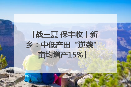 战三夏 保丰收丨新乡：中低产田“逆袭” 亩均增产15%
