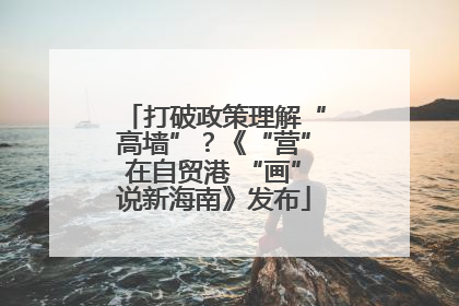 打破政策理解“高墙”？《“营”在自贸港 “画”说新海南》发布