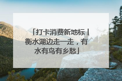 打卡消费新地标丨衡水湖边走一走，有水有鸟有乡愁