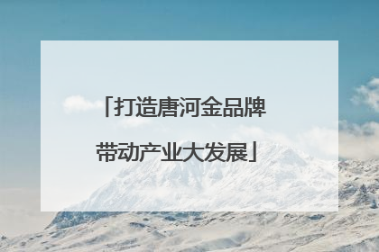 打造唐河金品牌 带动产业大发展