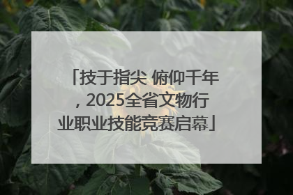 技于指尖 俯仰千年,2025全省文物行业职业技能竞赛启幕