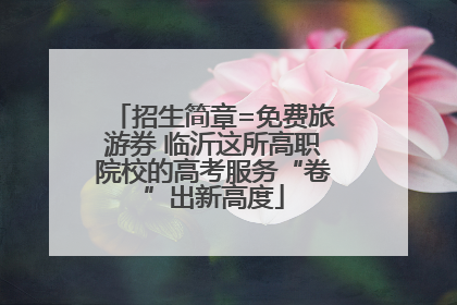 招生简章=免费旅游券 临沂这所高职院校的高考服务“卷”出新高度