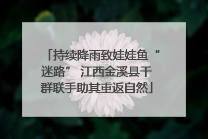 持续降雨致娃娃鱼“迷路” 江西金溪县干群联手助其重返自然