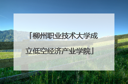 柳州职业技术大学成立低空经济产业学院
