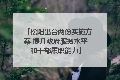 松阳出台两份实施方案 提升政府服务水平和干部履职能力