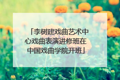 李树建戏曲艺术中心戏曲表演进修班在中国戏曲学院开班