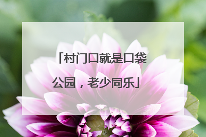 村门口就是口袋公园，老少同乐
