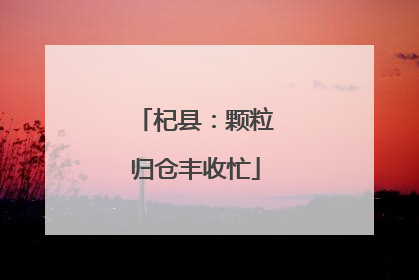 杞县：颗粒归仓丰收忙