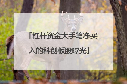 杠杆资金大手笔净买入的科创板股曝光