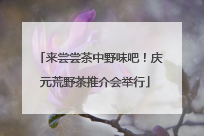 来尝尝茶中野味吧！庆元荒野茶推介会举行