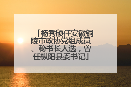杨秀颀任安徽铜陵市政协党组成员、秘书长人选，曾任枞阳县委书记