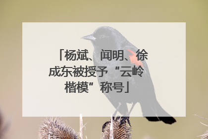 杨斌、闻明、徐成东被授予“云岭楷模”称号