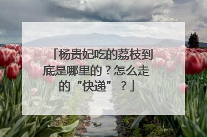 杨贵妃吃的荔枝到底是哪里的？怎么走的“快递”？