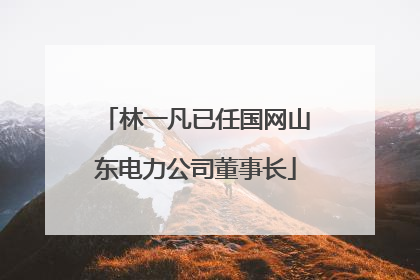 林一凡已任国网山东电力公司董事长
