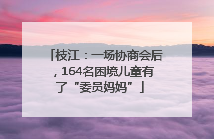 枝江：一场协商会后，164名困境儿童有了“委员妈妈”