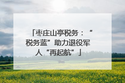 枣庄山亭税务：“税务蓝”助力退役军人“再起航”
