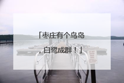 枣庄有个鸟岛，白鹭成群！